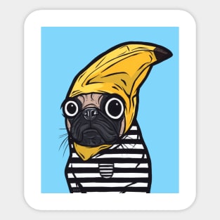 Banana Pug Sticker